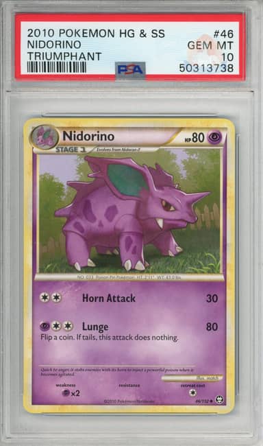 Nidorino (Population; 1)