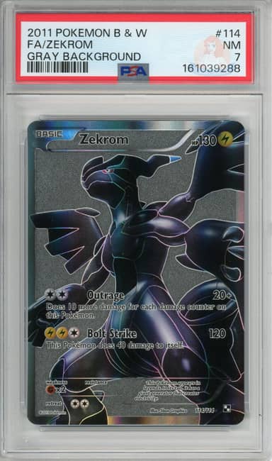 Zekrom - Gray Background