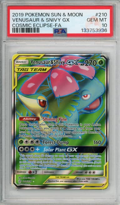 Venusaur & Snivy Gx