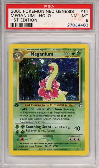 Meganium Holo