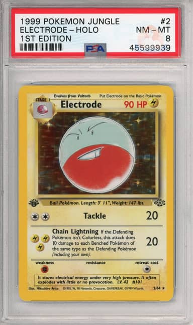 Electrode Holo