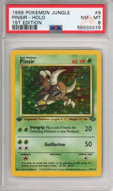Pinsir Holo