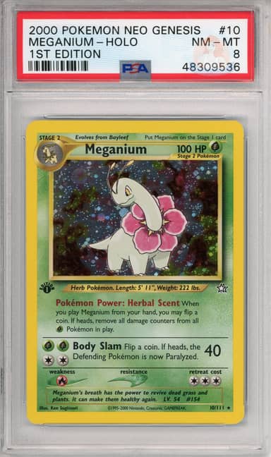 Meganium Holo